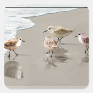 Sandpipers at the Shoreline Square Sticker