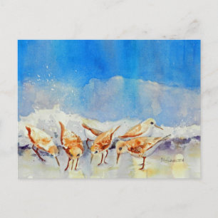 Sandpipers, Beach, Waves, Ocean, Watercolor Postcard