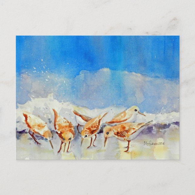 Sandpipers, Beach, Waves, Ocean, Watercolor Postcard (Front)