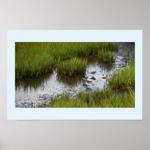 Sandpipers in the Marsh Poster