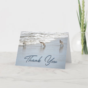 Sandpipers in the Surf Photo Thank You Card