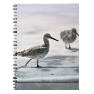 Sandpipers Notebook