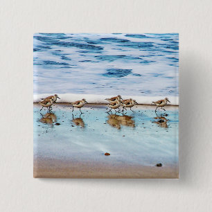 Sandpipers Running Along The Beach 15 Cm Square Badge