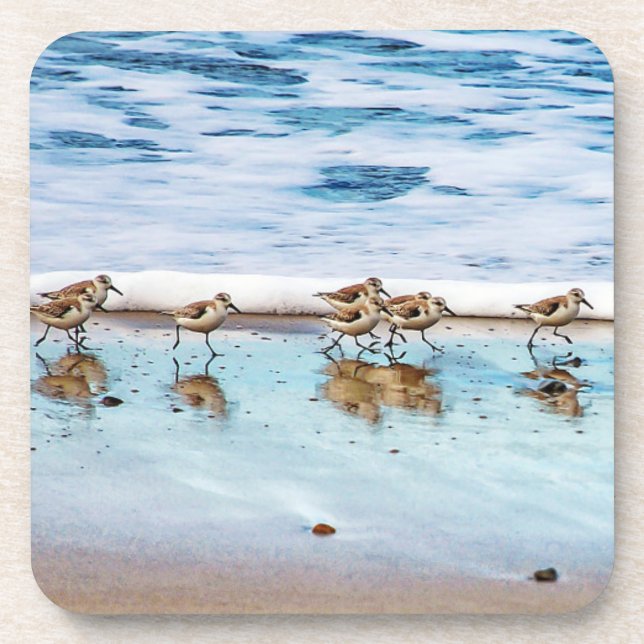 Sandpipers Running Along The Beach Coaster (Front)