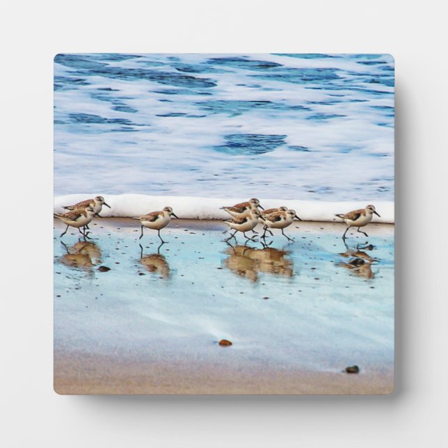 Sandpipers Running Along The Beach Plaque (Front)