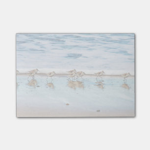 Sandpipers Running Along The Beach Post-it Notes