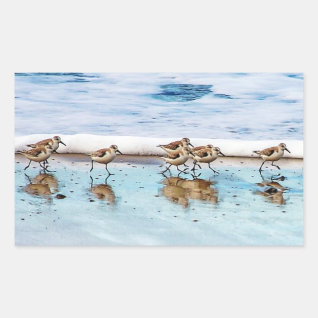 Sandpipers Running Along The Beach Rectangular Sticker (Front)