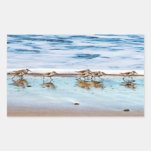Sandpipers Running Along The Beach Rectangular Sticker