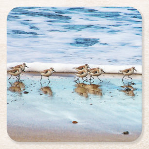 Sandpipers Running Along The Beach Square Paper Coaster