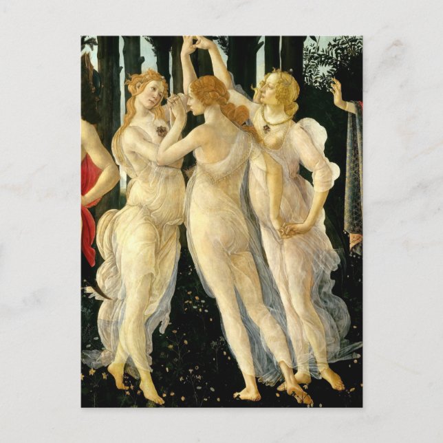 Sandro Botticelli "Primavera - Three Graces"  Postcard (Front)