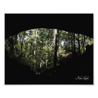 Sandstone Forest Arch Photo Print