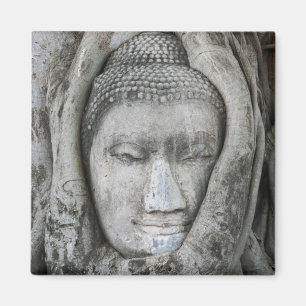 Sandstone head of Buddha surrounded by tree Magnet