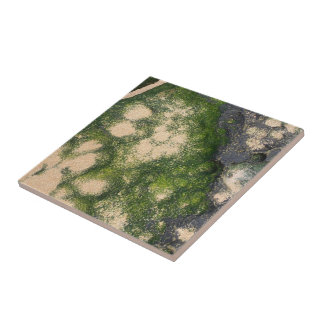 Sandstone Rock Formation with Emerald Green Moss Ceramic Tile