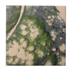 Sandstone Rock Formation with Emerald Green Moss Ceramic Tile