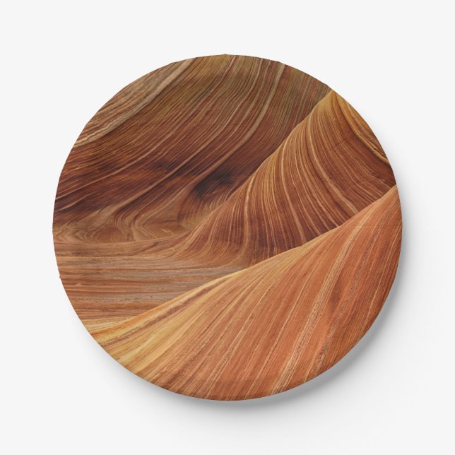 Sandstone Rock Formations Paper Plate (Front)
