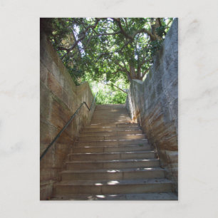 Sandstone Steps Postcard