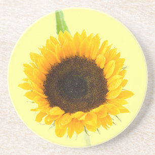 sandstone sunflower coaster by Petr Kratochvil