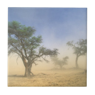 Sandstorm In Kalahari Desert, Kgalagadi Ceramic Tile