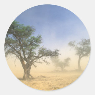 Sandstorm In Kalahari Desert, Kgalagadi Classic Round Sticker