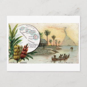 Sandwich Islands, 1889 vintage card