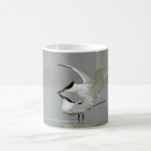 Sandwich Terns on Texas Coast Coffee Mug (Center)