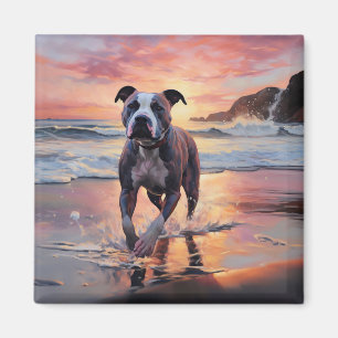 Sandy American Staffordshire Dog on Beach Sunset Magnet