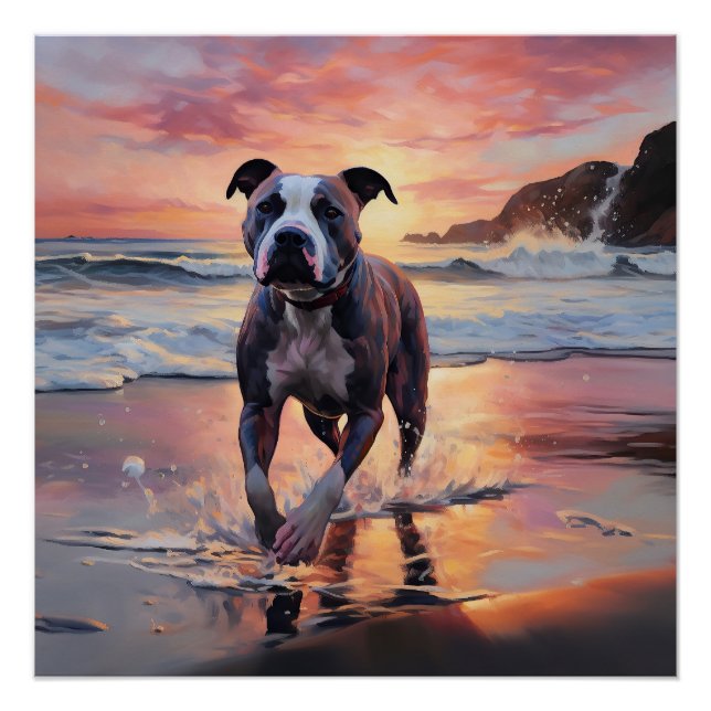 Sandy American Staffordshire Dog on Beach Sunset Poster (Front)