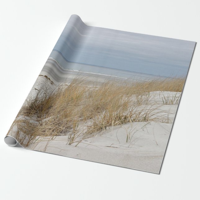Sandy beach and dunes in winter wrapping paper (Unrolled)