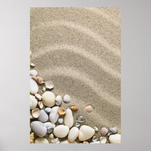 Sandy Beach Background With Shells And Stones Poster