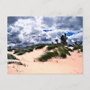 Sandy Beach Dune Grass Postcard