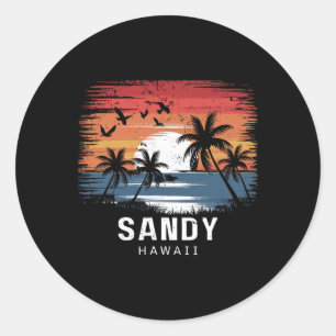 Sandy Beach Hawaii Surfing Surfer _1 Classic Round Sticker