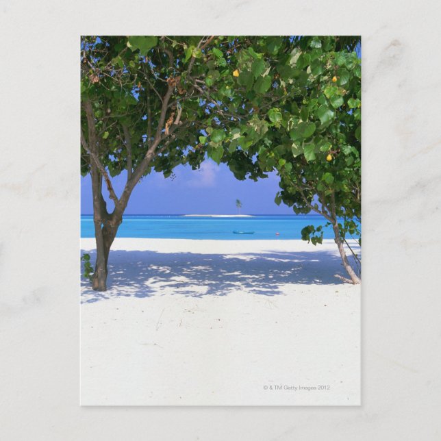 Sandy Beach Postcard (Front)