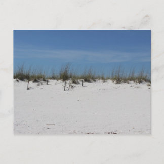 Sandy Beach Postcard