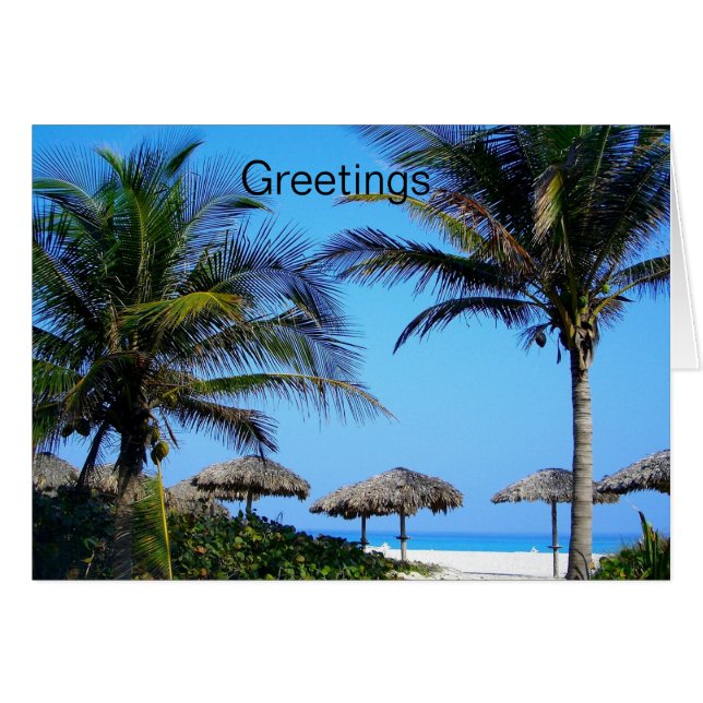 Sandy Beach With Palm Trees and An Ocean View (Front Horizontal)