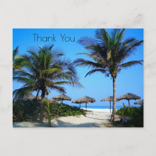 Sandy Beach With Palm Trees and An Ocean View Post Postcard