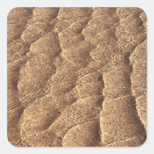 Sandy bed Sticker