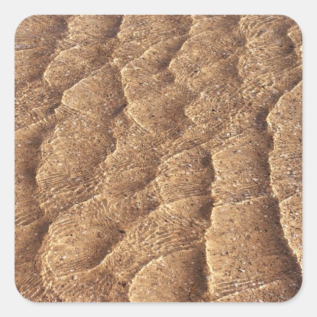 Sandy bed Sticker (Front)