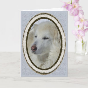 *Sandy Dog - Apology/Sorry Card