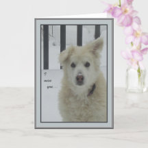 *Sandy Dog - I Miss You