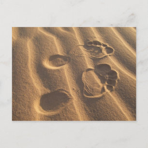 SANDY FEET POSTCARD