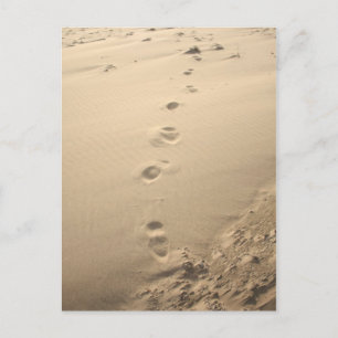 Sandy Footprints Postcard