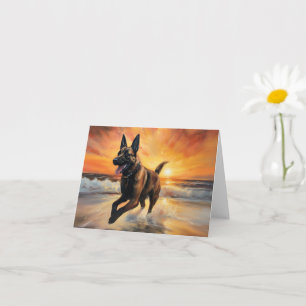 Sandy Paws Belgian Malinois Dog on Beach Sunset  Card