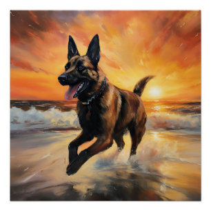 Sandy Paws Belgian Malinois Dog on Beach Sunset Poster
