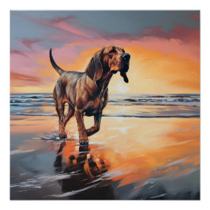Sandy Paws Bloodhound Dog on Beach Sunset Poster