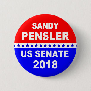 Sandy Pensler Senate Michigan political button
