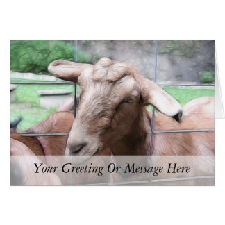 Sandy The Goat At The Gate