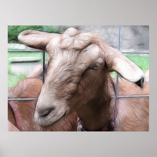 Sandy The Goat At The Gate Poster (Front)