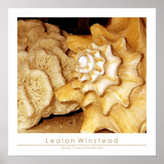 Sandy Treasures from the Sea Poster (Front)