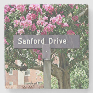 Sanford Drive Flowers Athens Georgia Coaster. Stone Coaster