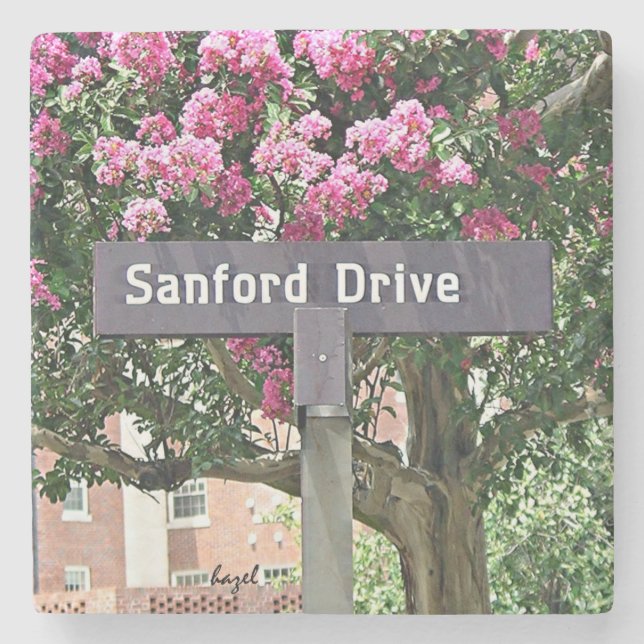Sanford Drive Flowers Athens Georgia Coaster. Stone Coaster (Front)